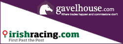 Horses for Sale