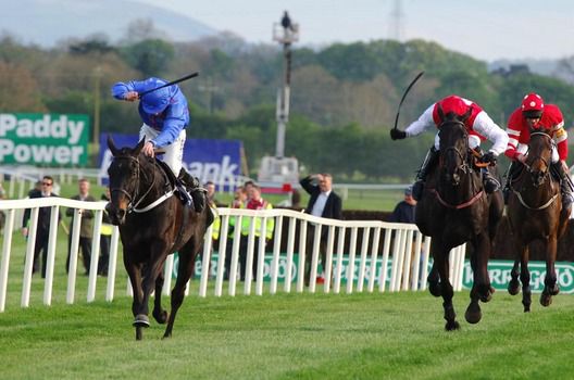 Rare Bob (left) pictured winning at Punchestown in 2009