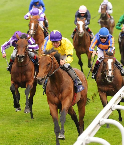 Sea The Stars winning the Epsom Derby in 2009