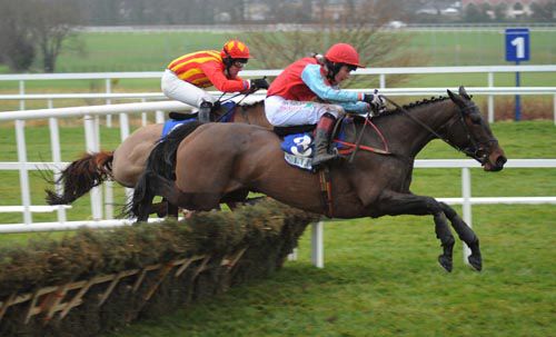 Voler La Vedette is being aimed at the World Hurdle <br> at Cheltenham next month