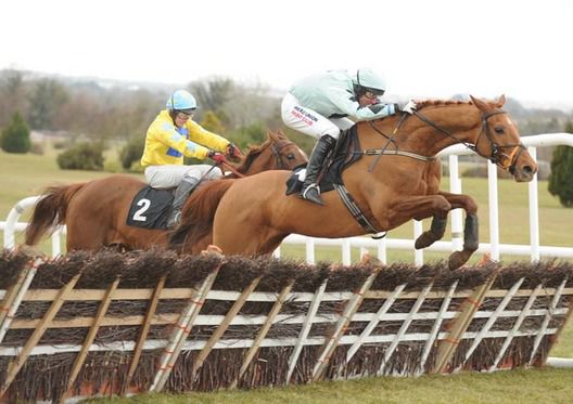 Coole River pictured on his way to victory at Navan in 2010