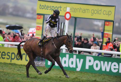Imperial Commander seen here winning the Cheltenham Gold Cup