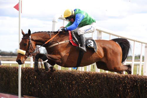 Jadanli winning the 2010 Powers Gold Cup at Fairyhouse