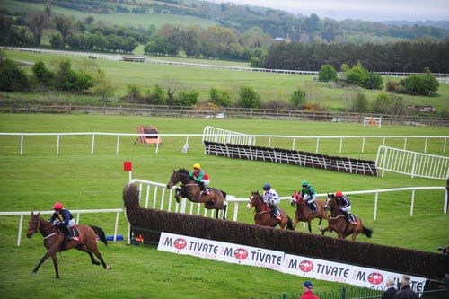 Punchestown to inspect