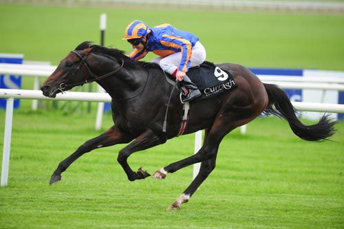 Steinbeck winning at the Curragh in 2010