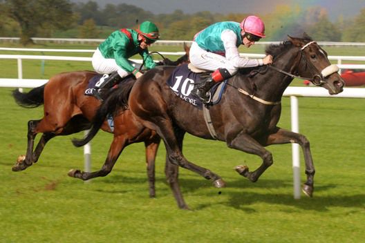 Emulous finished sixth in the Matriarch Stakes 