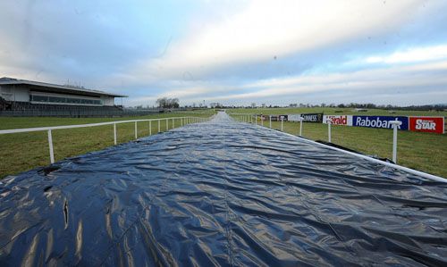 Cheltenham are using frost covers