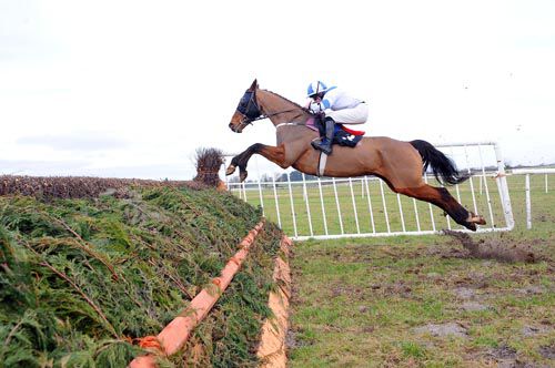 In Compliance in action at Thurles last year