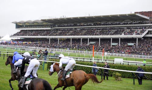 Packed stands guaranteed at Cheltenham 