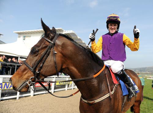 Noble Prince & Tony McCoy after winning the Jewson at the Cheltenham Festival in 2011