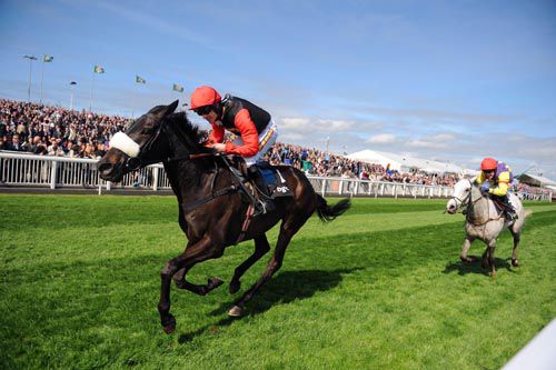 Grand Crus seen here finishing second to Big Buck at Aintree in 2011