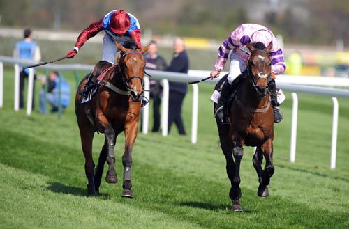 Zarkandar (right) pictured winning at Aintree in 2011
