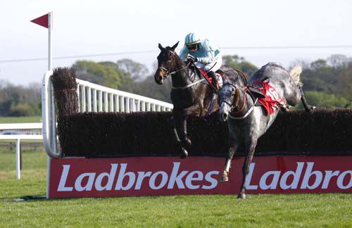 Organisedconfusion jumps the final fence in the 2011 Irish Grand National