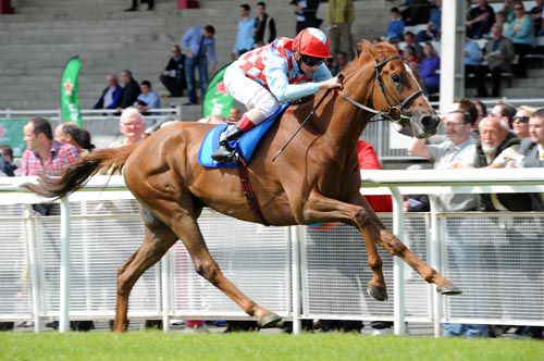 The globe-trotting Red Cadeaux