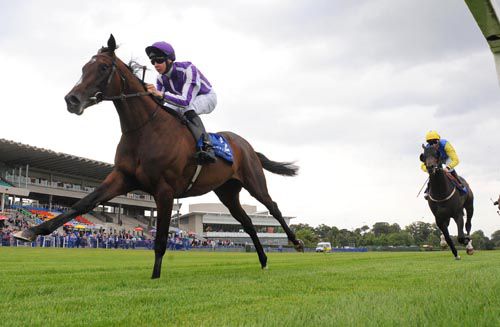Camelot pictured winning on his debut at Leopardstown