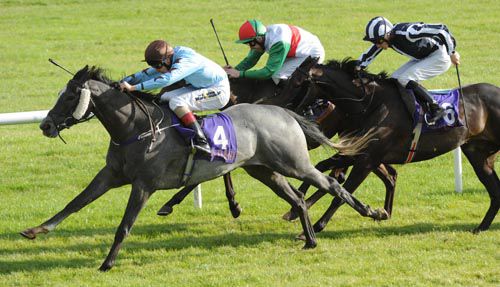 Six Silver Lane was previously successful in O'Connor's colours