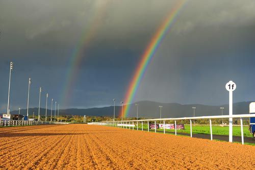 All-weather action today at Lingfield and Kempton