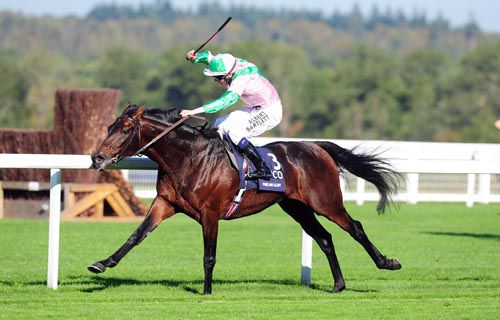 Fame And Glory runs at Navan today in the Vintage Crop Stakes