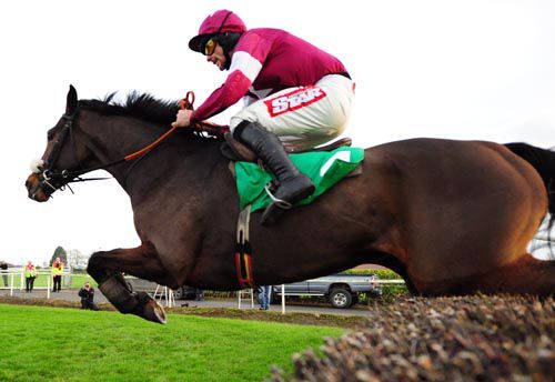 Bog Warrior is out of the John Durkan Chase