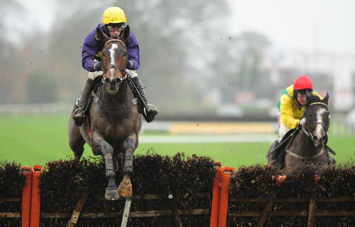 Lord Windermere pictured beating Aupcharlie over hurdles at Thurles 