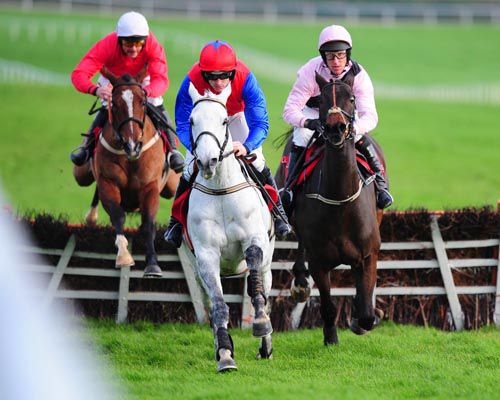 The grey Thousand Stars in action at Punchestown in 2011