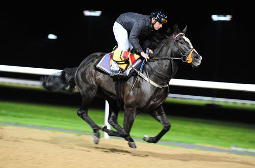 Sole Power pictured working at Dundalk