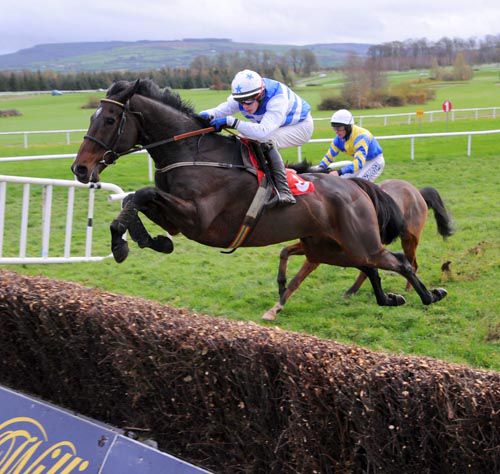 Call The Police in action at Gowran