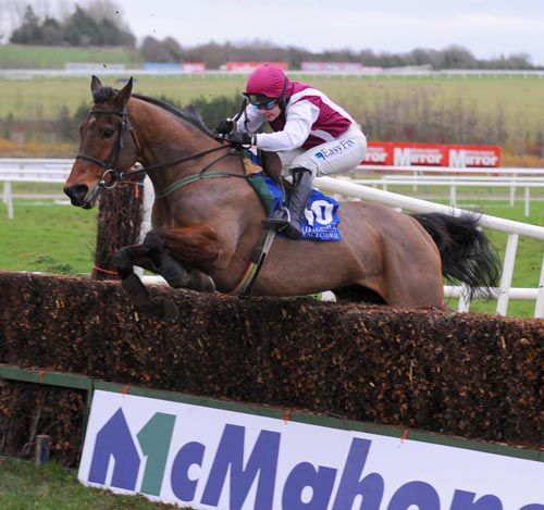 The Ted Walsh-trained Seabass runs at Fairyhouse today