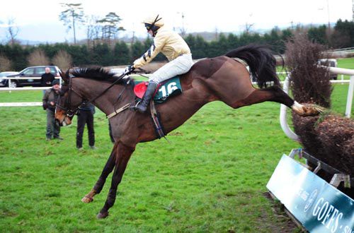 On His Own jumping the last in the Thyestes in January