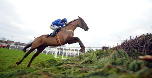 Soll seen here winning at Down Royal