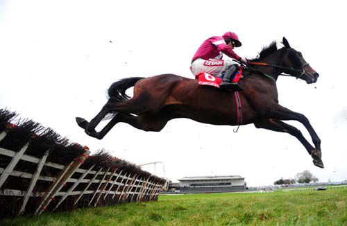 Trifolium and Davy Russell jumping in style 