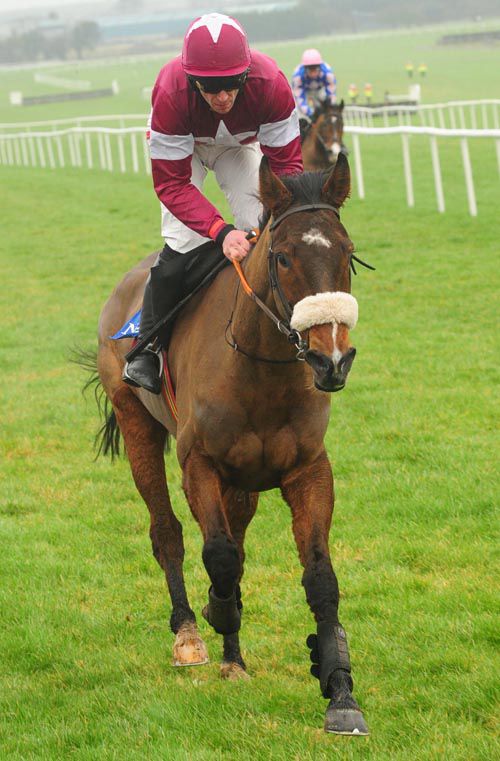 Bog Warrior and Davy Russell