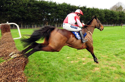 Bishopsfurze and Ruby Walsh on the way to victory