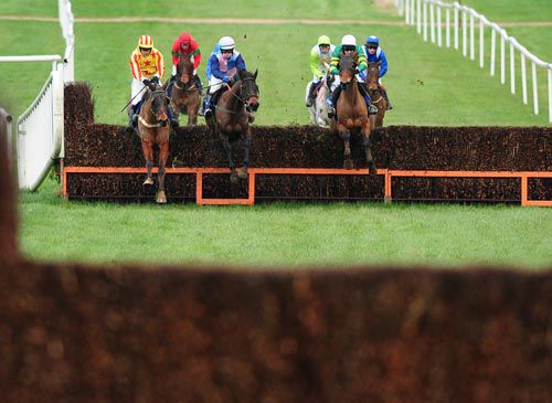 The Book Thief (left) just leads over the second last from<br>Sumkindasuprstar (centre) and Code Of The West