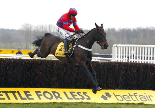 Sprinter Sacre in action at Newbury earlier this year