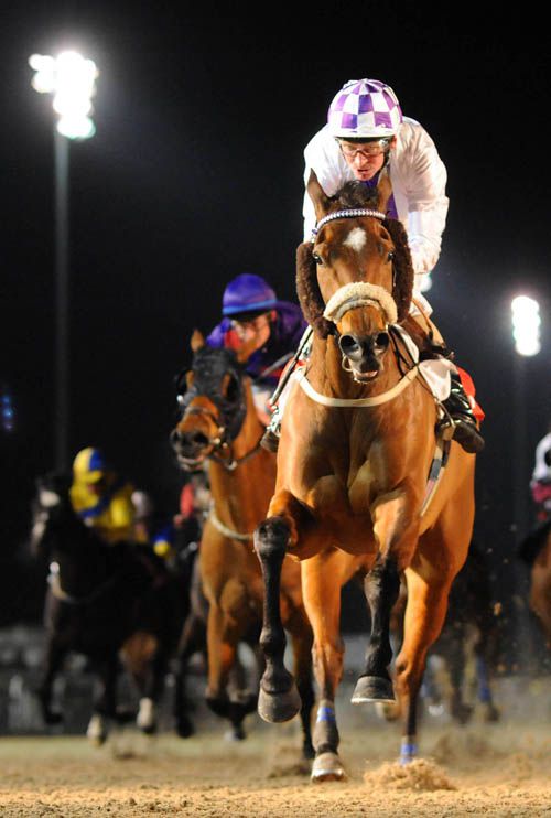 East Of Tara, resplendent in cheek-pieces & <br> a noseband gets the job done at Dundalk
