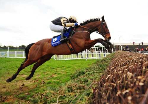 Prince De Beauchene jumps a fence on his way to victory under Paul Townend