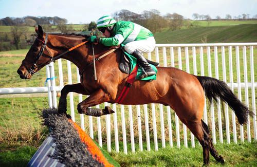 Oscar Hill & Paul Carberry are a picture of concentration at Downpatrick