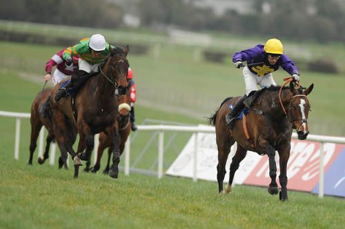 Lord Windermere and Tom Doyle gallop up the hill to win at Naas