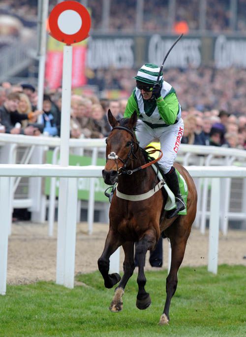 Rock On Ruby & Noel Fehily pictured winning last year's Champion Hurdle