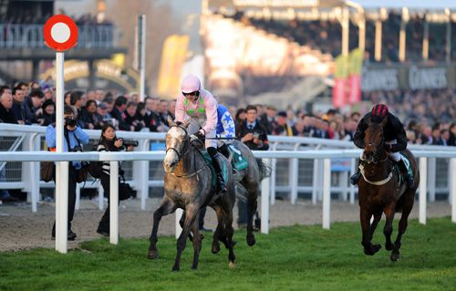 Champagne Fever beat New Year's Eve in the Champion Bumper