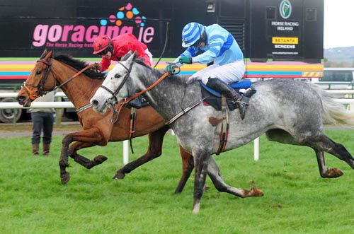 Smile Crocodile just holds off the grey Fairymount Lord 