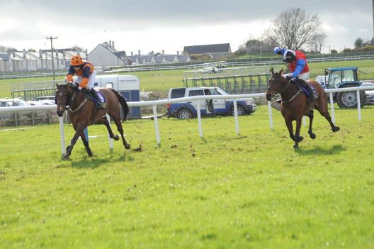 Whodoyouthink & Shane Crimin saw off Wilde Wit Pleasure & Shay Barry at Wexford