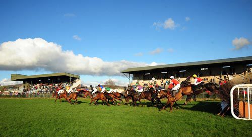 Tralee point-to-point abandoned 