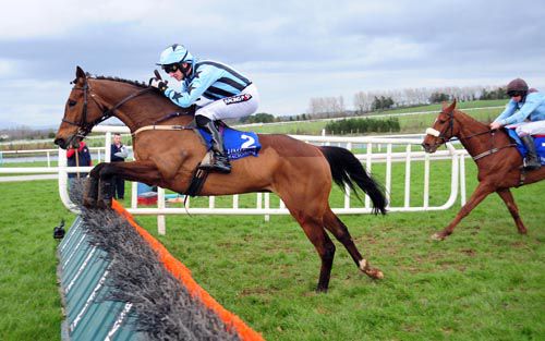 Immediate Response (Patrick Mullins) leads Friendly Society over the last