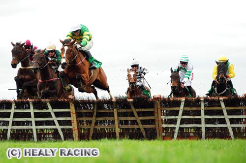 Galianna throws a good leap on the way to victory at Navan