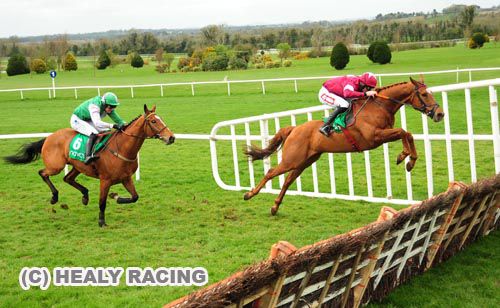 Beef To The Heels certainly knows how to jump as he shows at Navan from Flying Light