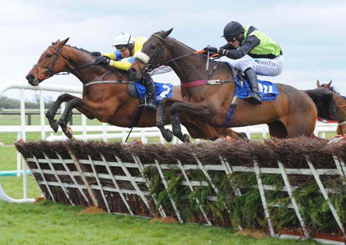 Shadow Eile, right, jumps the last with Burn And Turn at Fairyhouse