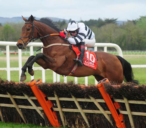 Satu jumps a hurdle on his way to victory under Mikey Butler