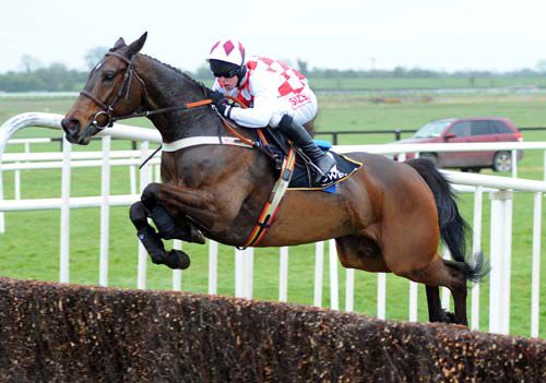 Flemenstar puts in a superb jump at the last to win the Grade 1 Powers Gold Cup at Fairyhouse